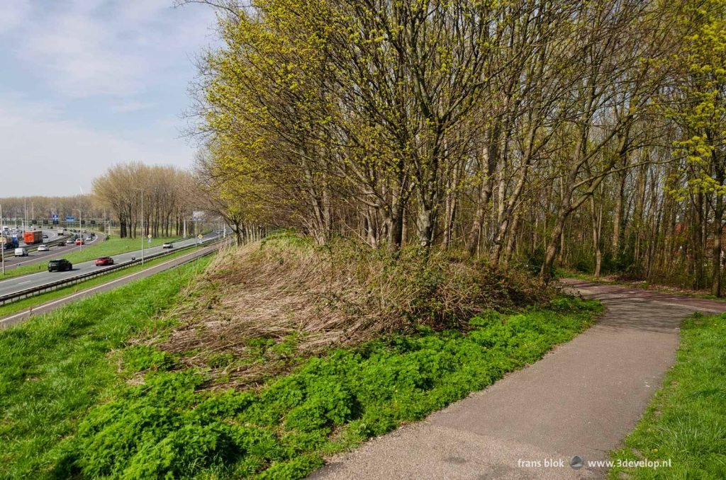 Forested sound barrier in the Rotterdam neighbourhood of Beverwaard, next to the A16, part of the Ringroad