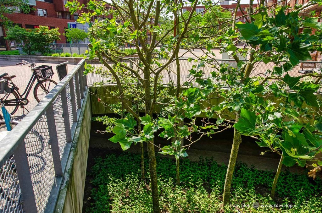 Bomen groeien vanuit de parkeergarage in het centrum van Meerhoven, Eindhoven