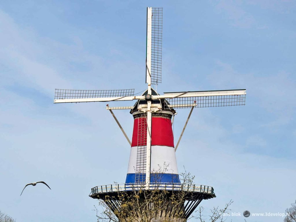 Windmill De Valk in Leiden, Holland, wrapped in the Dutch flag for the occasion of Kings Day and Liberation Day