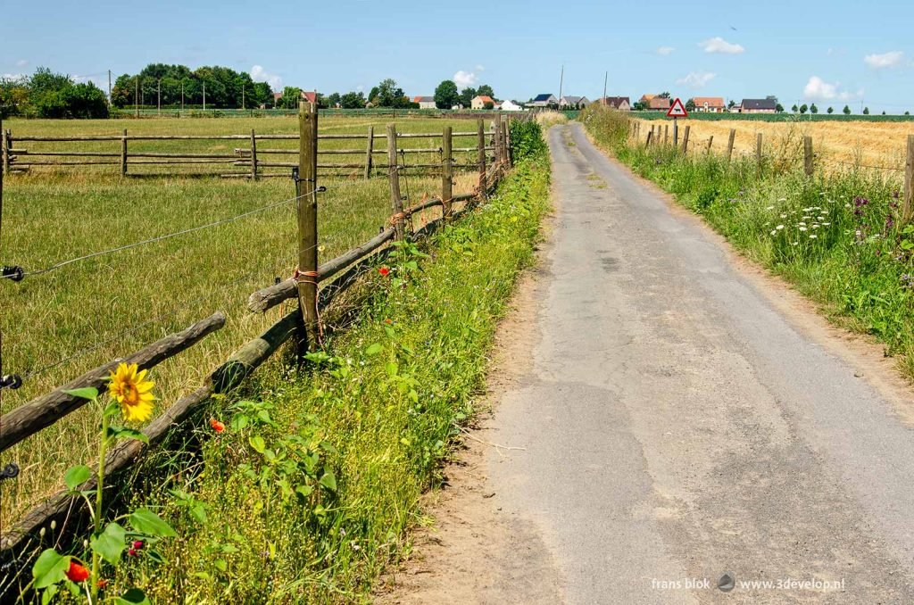 Country road in the West Corner of Flanders near Poperinge