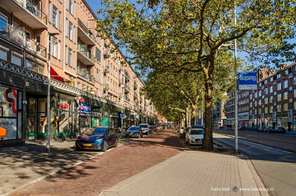 Goudsesingel in Rotterdam seen along the trees between the main and secondary roads