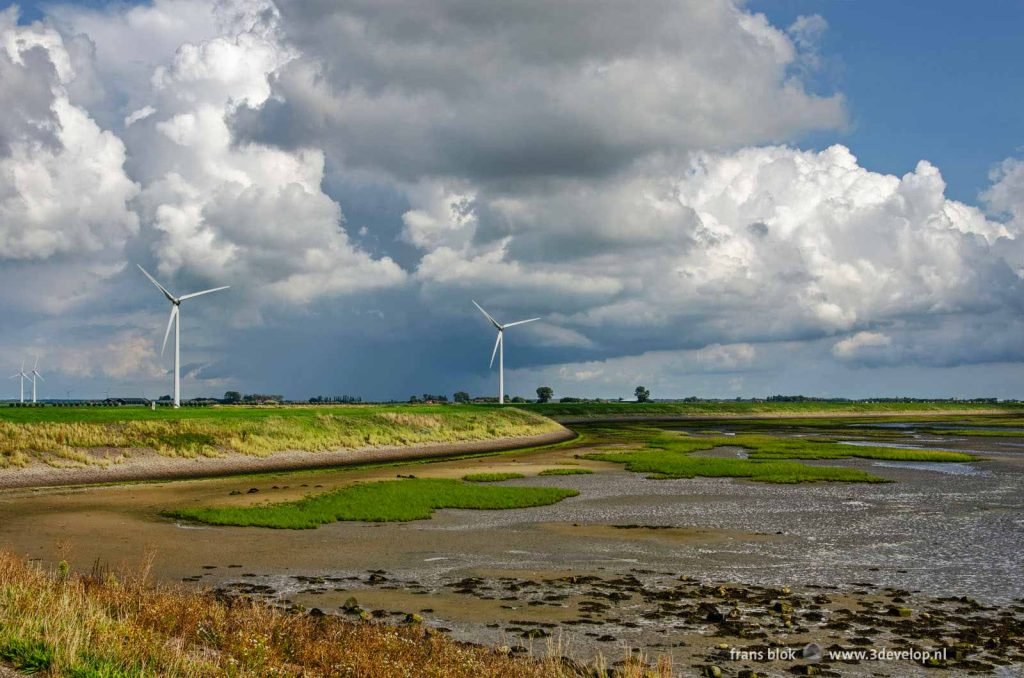 Partly overgrown mudflats on the banks of Oosterschelde on Sint Philipsland, Zeeland, The Netherlands