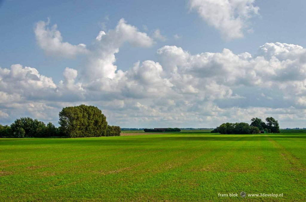 Almost abstract landscape on Sint Philipsland, Zeeland with fields, trees and clouds