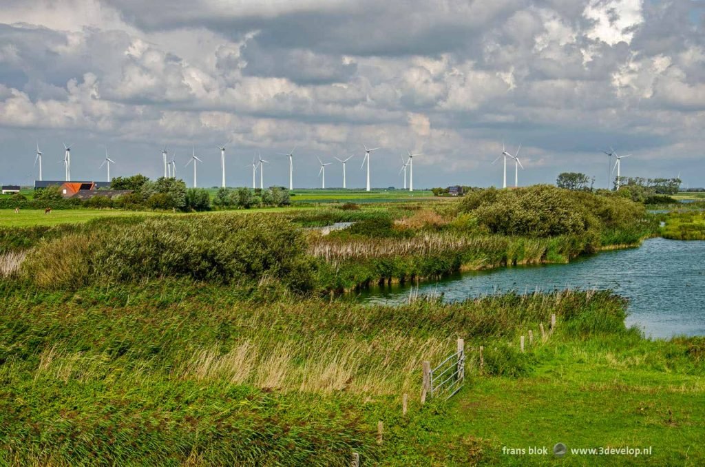 Nature reserve Bruintjes Creek on Sint Philipsland, Zeeland, The Netherlands