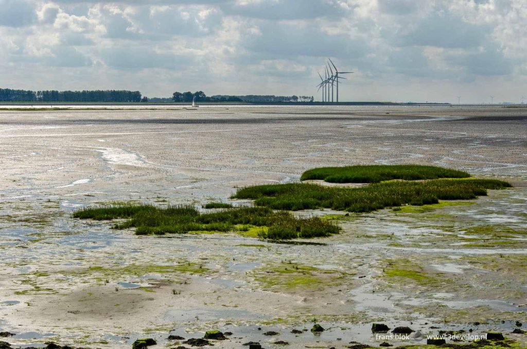 View from Sint Philipsland, Zeeland, The Netherlands, on Oosterschelde estuary, with mudflats and in the background the island of Tholen