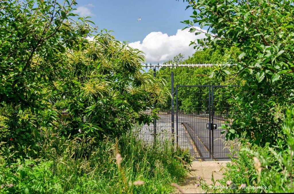 Struiken en grassen op het dak van voormalige station Hofplein in Rotterdam met op de achtergrond het nog als park in te richten dak van de Hofbogen