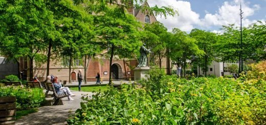 The green square in front of Saint Lawrence Church in downtown Rotterdam