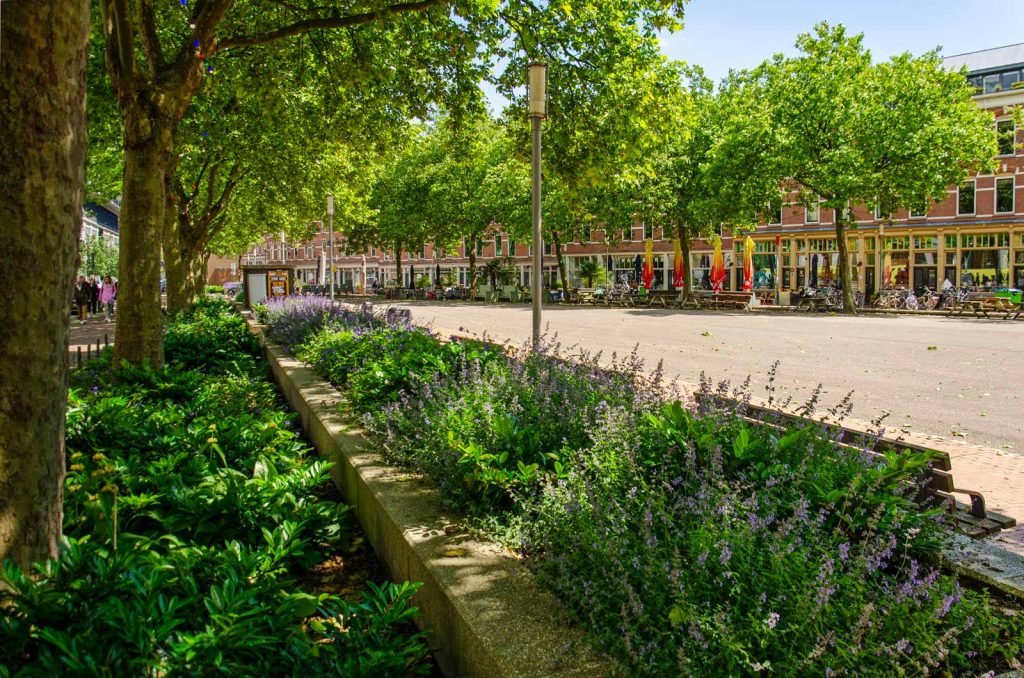 Lush vegetation in a flowerbed on Deliplein in Katendrecht, Rotterdam