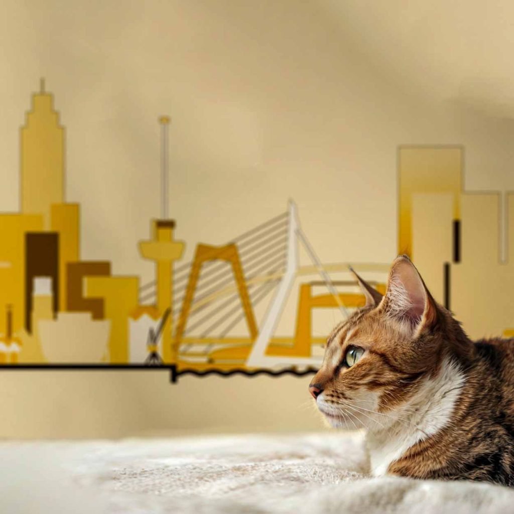 Calico cat relaxing on a blanket with the Rotterdam skyline in the background