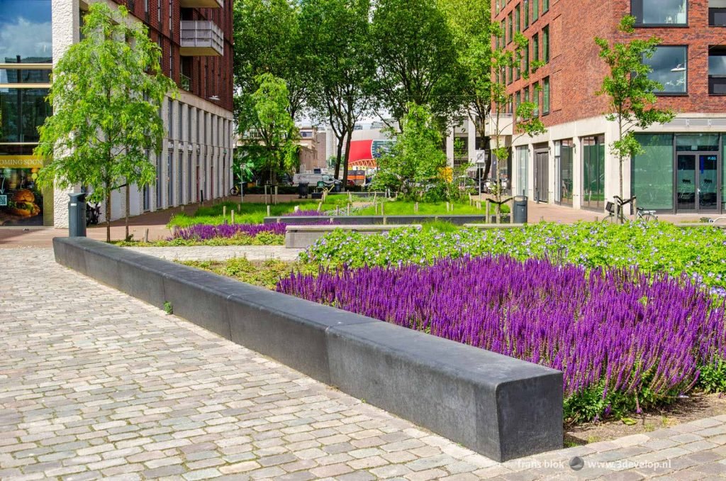 Flowers in a little park in Katendrecht in Rotterdam