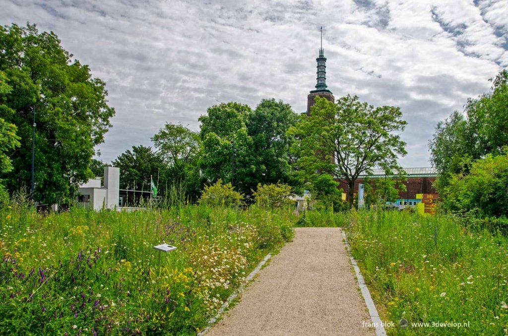 The New Garden with museum Boymans in the background, in Museum Park in Rotterdam