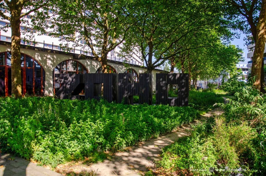 Rain garden and Hofplein railway line in Rotterdam ZOHO