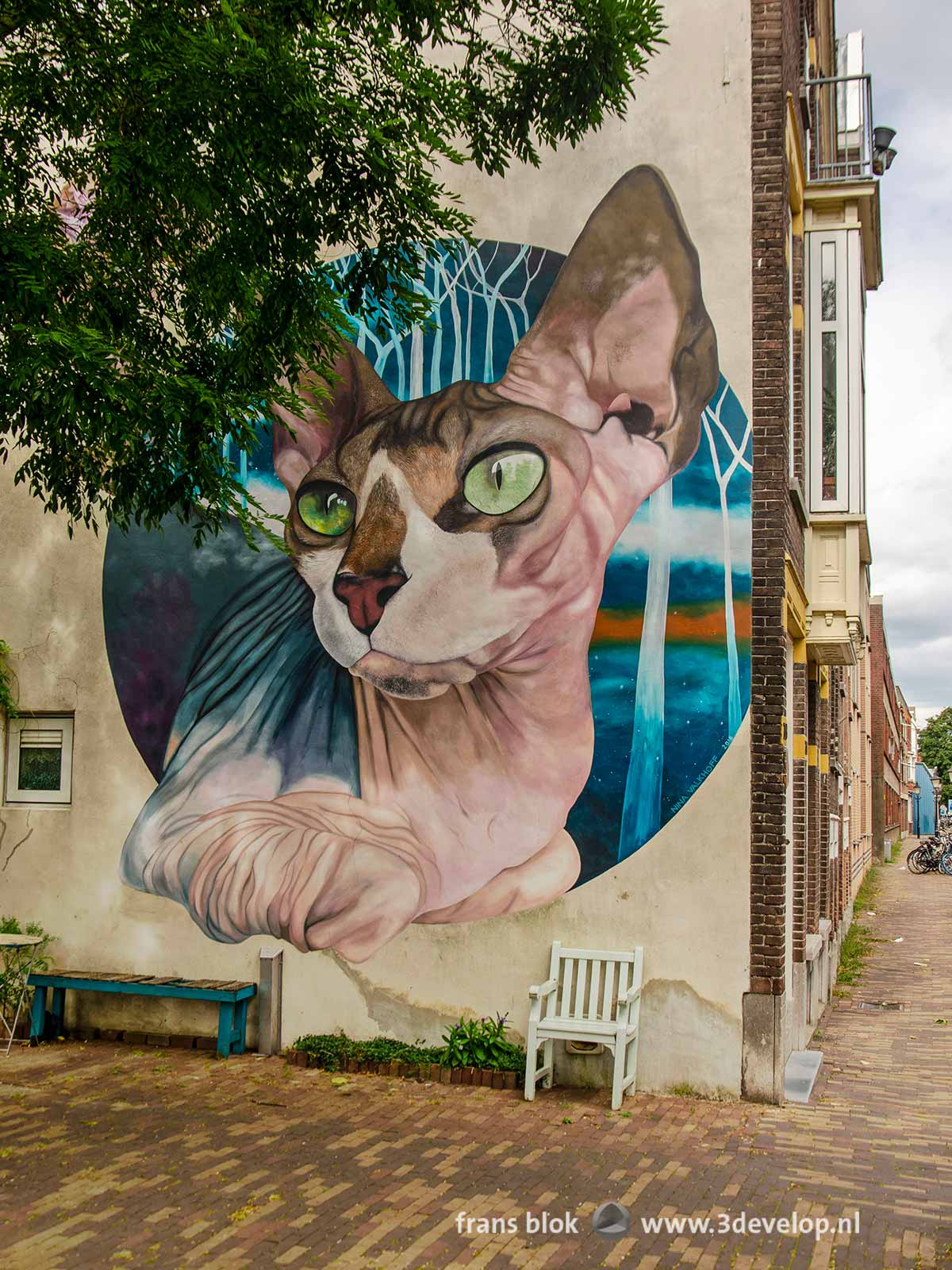 Mural of a hairless cat by Nina Valkhoff in the Rotterdam neighbourhood of Charlois