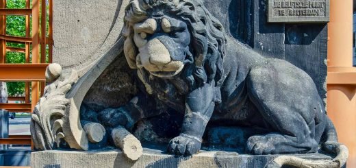 Stone sculpture of a lion on Delft Gate in Rotterdam